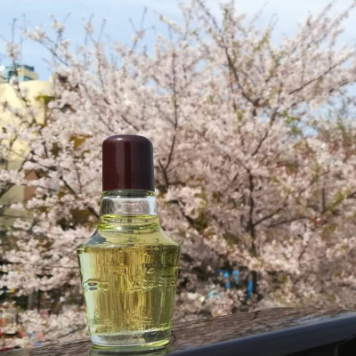 Tinh Dầu Kurobara Dưỡng Tóc Và Da Chiết Xuất Từ Hoa Trà Kurobara The Richest Camellia Oil 47mL