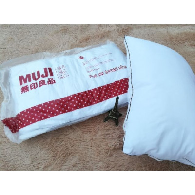 Cặp Ruột Gối Ép Hơi Kích Thước 50x70cm Cao cấp