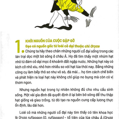 Ẩm Thực Chinh Phục Thế Giới - Hạt Gạo, Hạt Vàng - Tặng Kèm Bookmark