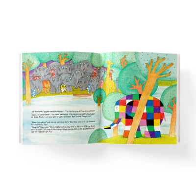 Elmer và cơn lũ (Song ngữ Anh Việt)