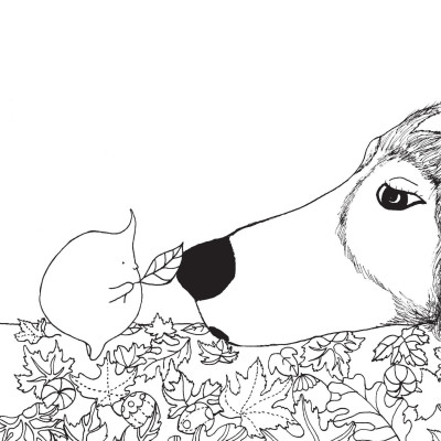 Sách - Chú Chó Bên Hiên Nhà