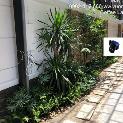 Bộ Điều Khiển Hẹn Giờ Tưới Tự Động Aquapro Sử Dụng Pin