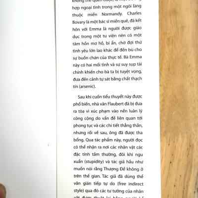 Sách- Bà Bovary- Tiểu Thuyết- 2HBooks