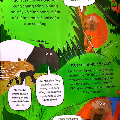 Những Câu Hỏi Tò Mò & Giải Đáp Thú Vị Về Rừng Mưa (Tái bản 2023)- 2HBooks