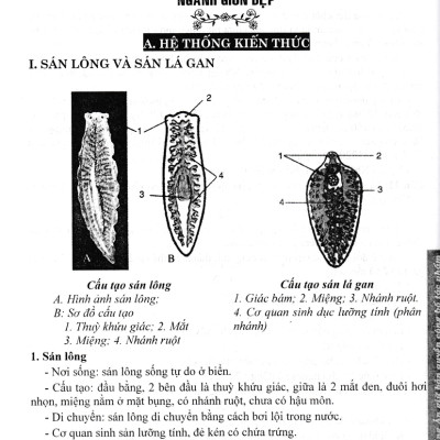 Sách tham khảo_BỒI DƯỠNG HỌC SINH GIỎI SINH HỌC 7 (BIÊN SOẠN THEO CHƯƠNG TRÌNH GDPT MỚI)_HA
