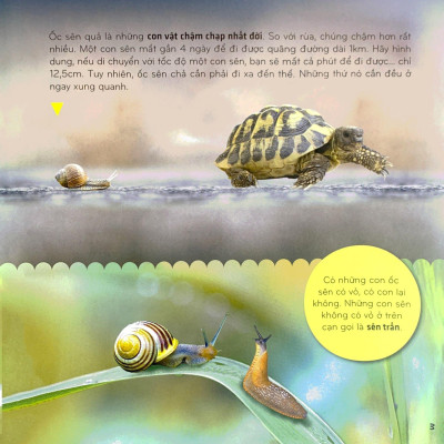 Bí Ẩn Thế Giới Loài Vật - Thân Mềm Và Giáp Xác (Tái Bản 2024)