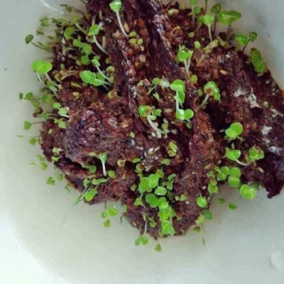 Mặt Nạ Ngũ Hoa Dr Cell 80g cấp ẩm trắng mượt da phục hồi da sau tái tạo hỗ trợ làm giảm mụn - Hàng Chính Hãng