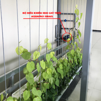 Bộ Điều Khiển Hẹn Giờ Tưới Tự Động Aquapro Sử Dụng Pin