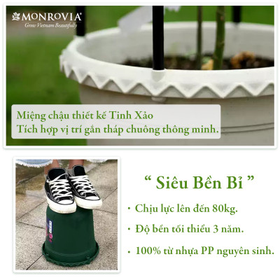Chậu nhựa trồng cây MONROVIA thông minh, decor trang trí chuyên cho hoa hồng, cây cảnh, ban công, nhập khẩu tiêu chuẩn Châu Âu
