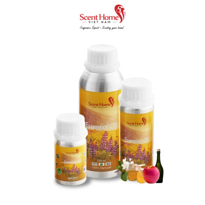 Tinh dầu Scent Homes - mùi hương (BBW Champagne Apple & Honey)