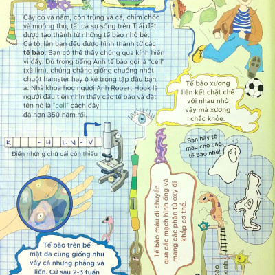 Tại Sao? Sao Tim Đập Và Dạ Dày Réo?