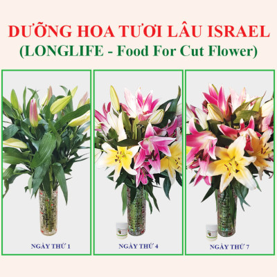 Thuốc Chăm Sóc Hoa tươi Cắm Xốp Lâu Tàn tại shop hoa Longlife SG của Israel (Combo 5KG pha 500L nước tiết kiệm) giúp hoa tươi gấp 2 lần và hạn chế thay hoa định kỳ, hoa cắm lẵng tươi lâu
