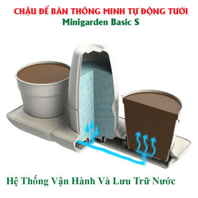 BỘ CHẬU TRỒNG RAU THÔNG MINH TỰ ĐỘNG TƯỚI trong vòng 2 tháng BASIC S, sử dụng 10 năm
