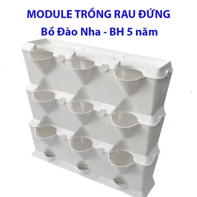 CHẬU MODULE TRỒNG RAU BAN CÔNG NHẬP KHẨU BỒ ĐÀO NHA (1 BỘ gồm 1 Module + Nắp đậy + 6 nút khóa)