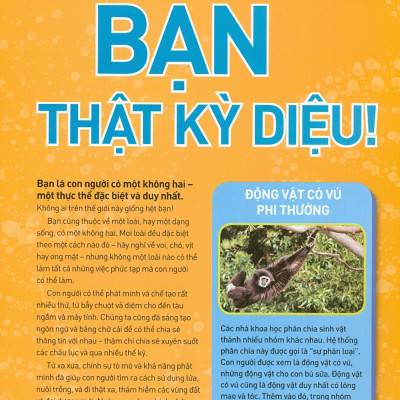 Tất Tần Tật Về Cơ Thể Người