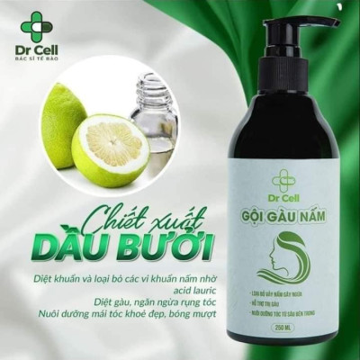 Gội Gàu Nấm Dr Cell 250ml hỗ trợ làm sạch gàu nấm da đầu dưỡng tóc hỗ trợ mọc tóc con giảm rụng tóc - Hàng Chính Hãng