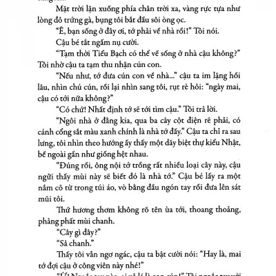 Sả Chanh Ngày Hạ