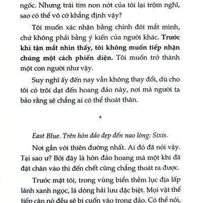 Tiểu Thuyết One Piece - Chuyện Về Ace - Tập 1 - Băng Hải Tặc Spade Ra Đời