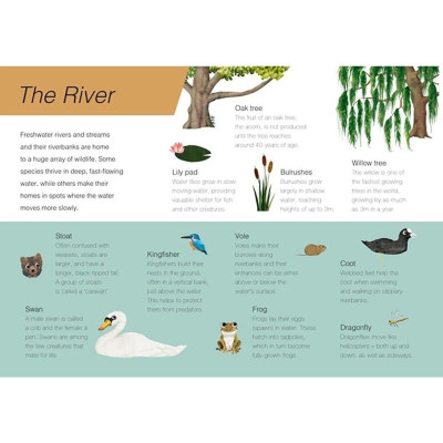 Sách Tranh Song Ngữ - Trên và Dưới - Lật Nhẹ Từng Trang Để Thấy Thiên Nhiên Diệu Kỳ