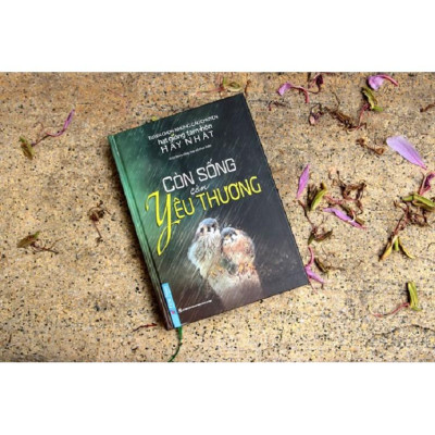 Sách - Combo Còn sống còn yêu thương + OSHO Yêu - FirstNews