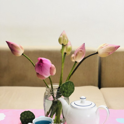 HOA ĐẬU BIẾC KHÔ HANA FARM 100GR