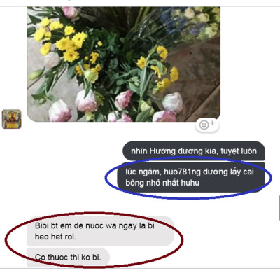 Dung Dịch Xử Lý Hoa TOG Galileo của ISRAEL (Chai 1 Lít) dùng bảo quản hoa cắt cành tươi lâu tại Nhà Vườn Trồng Hoa, Vựa Hoa và Chợ Sỉ Hoa. Tỷ lệ dung dịch 0.1% tức chai 1 Lít TOG pha được 1.000 Lít dung dịch xử lý hoa