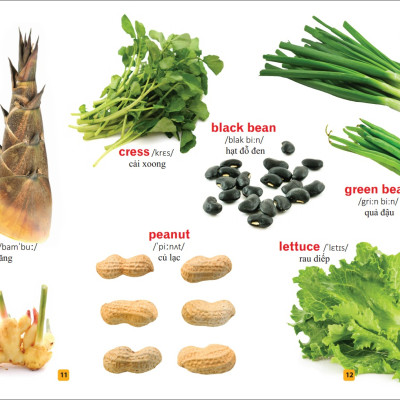 Sách: Từ Điển Tranh Về Rau - Củ - Quả - Hoa (Bìa Cứng)