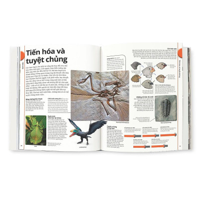 Sách - Khủng Long - Bìa Cứng - DK - Đông A