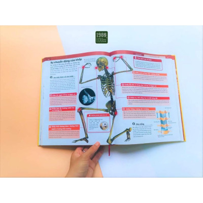 Sách - Human Body - Bách Khoa Toàn Thư Về Cơ Thể Của Chúng Ta - Bìa Cứng - 1980 Books