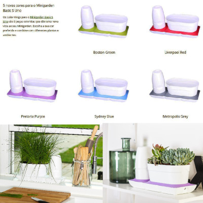 1 BỘ CHẬU TỰ DƯỠNG TRỒNG RAU BÍ XANH BASIC UNO NHẬP KHẨU BỒ ĐÀO NHA DÀNH CHO NGƯỜI BẬN RỘN NHƯNG YÊU THÍCH TRỒNG RAU TẠI NHÀ