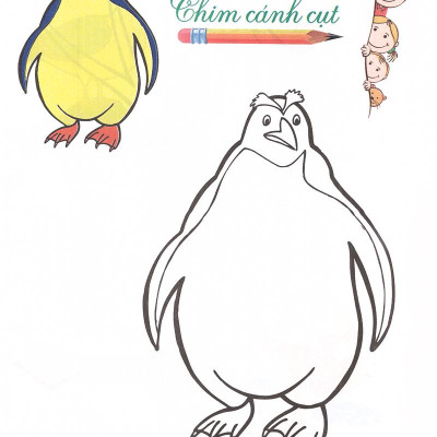 Tô Màu - Mẫu Giáo - Các Loài Chim