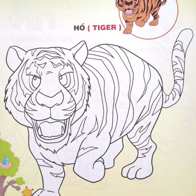 Em Tập Tô Màu - Chủ Đề: Các Loài Động Vật Trong Rừng