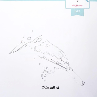 Dot To Dot Coloring Book - Nối Số & Tô Màu - Các Loài Chim