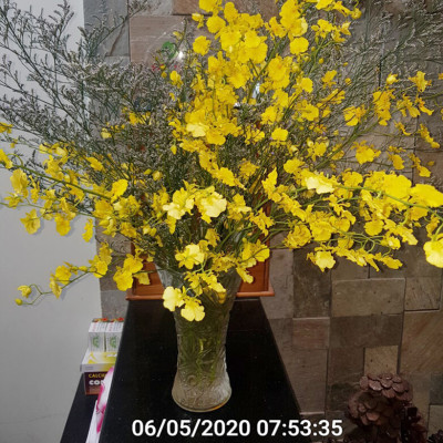 Set 2kg Dung Dịch Xử Lý Hoa Lan Vũ Nữ Tươi Lâu Longlife SG Israel - Food For Cut Flower (1kg pha được 100L dung dịch) là dung dịch trong TIP Nhựa bảo quản Hoa Lan Vũ Nữ cắt cành tươi lâu