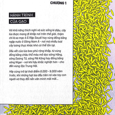 Ẩm Thực Chinh Phục Thế Giới - Hạt Gạo, Hạt Vàng - Tặng Kèm Bookmark