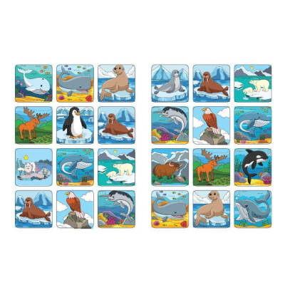 Sách - Bé Tô Màu - Khám Phá Bắc Cực Lạnh Giá - 20+ Hình Dán Sticker - Việt Thư