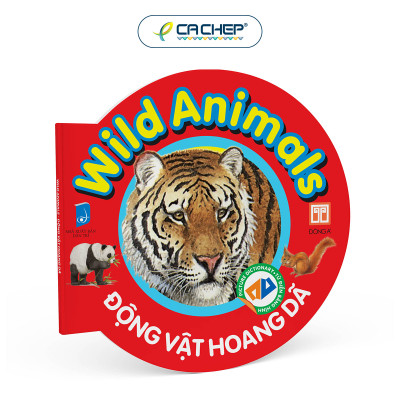 Combo 10 cuốn Từ điển bằng hình cho bé (Song ngữ Anh - Việt) - Bộ mới 2023