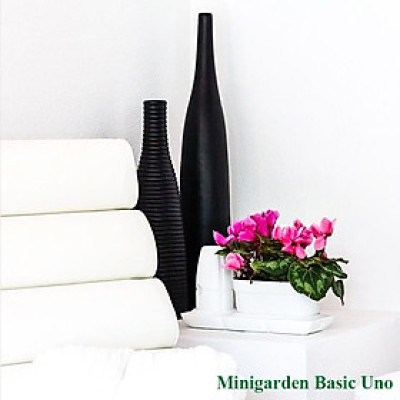 Bộ Chậu Trồng Cây Văn Phòng Thông Minh Tự Động Tưới Basic S Nhập Khẩu Châu Âu, Giúp Cây Phát Triển Tốt