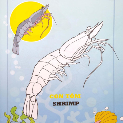 Em Tập Tô Màu - Chủ Đề: Động Vật Sống Dưới Nước