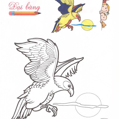 Tô Màu - Mẫu Giáo - Các Loài Chim