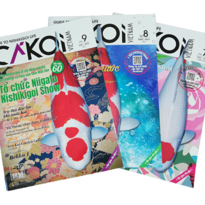 Cá Koi Vietnam - Combo 3 cuốn (Tập 7, 8, 9)