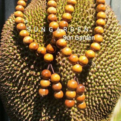 1212. Tràng chuỗi dâu tằm 54 hạt dùng niệm Phật hoặc đeo tay cho nam