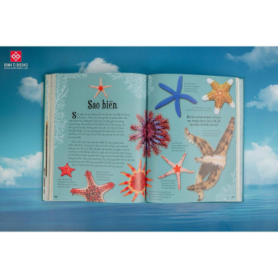 Sách - Bách Khoa Thư Kỳ Thú Về Vũ Trụ - Đinh Tị Books