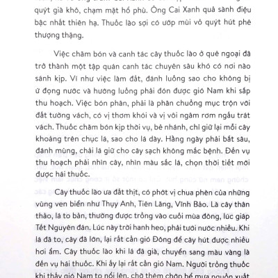 Hà Nội, Mũ Rơm Và Tem Phiếu (Tái Bản 2024)