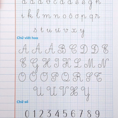 Vở Ô Ly Tập Viết - Mẫu Chữ Cỡ Nhỏ - Theo Chuẩn Chương Trình Sách Giáo Khoa Mới - Chân Trời Sáng Tạo