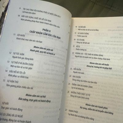 TIẾNG LÒNG - Những Điều Cảm Xúc Đang Cố Nói Với Bạn - Karla McLaren, M.Ed - Hà Trang dịch - Thái Hà Books