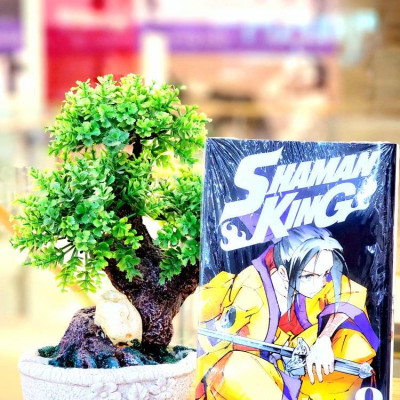 Sách - Shaman king full 35 Tập (trọn bộ) - Nxb Trẻ