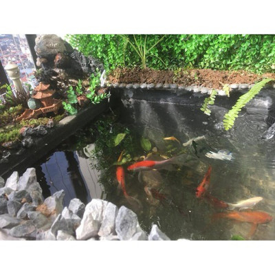 TaiKo Japan chống thấm vết nứt mái nhà, sàn nhà vệ sinh, máng xối, mái tôn, sàn nhà triệt để- 5 LÍT 