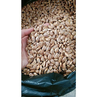 01KG Hạt Bình Bát (Na Xiêm) Khô Loại 01 946s