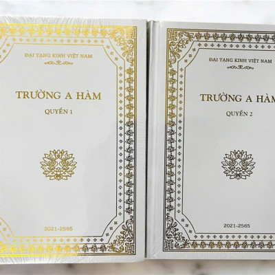 Sách - Trường A Hàm - Tiểu Tạng Kinh (Bộ 2 tập nguyên bản A Hàm Hán Tạng -  Đại Tạng Kinh Việt Nam)